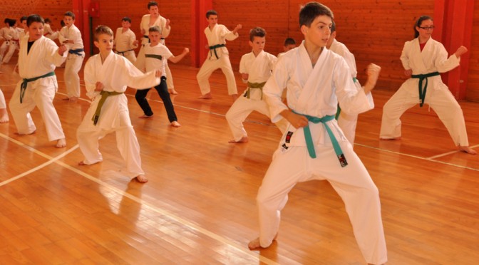 Karate klub “Rajko Crnobrnja-Gligo”